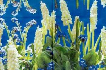 Serviette Frühlingsblumen, Rarität